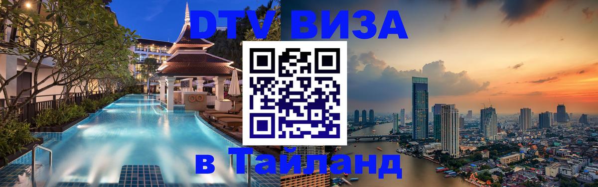 Оформление DTV визы под ключ: стоимость и тарифы, только загранпаспорт - Саранск 